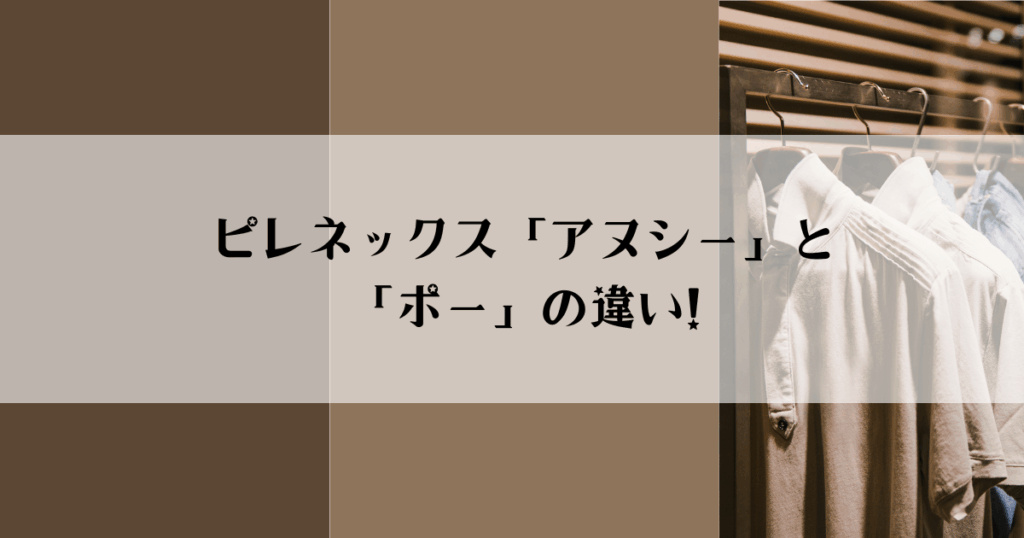 ピレネックス「アヌシー」と「ポー」の違い!