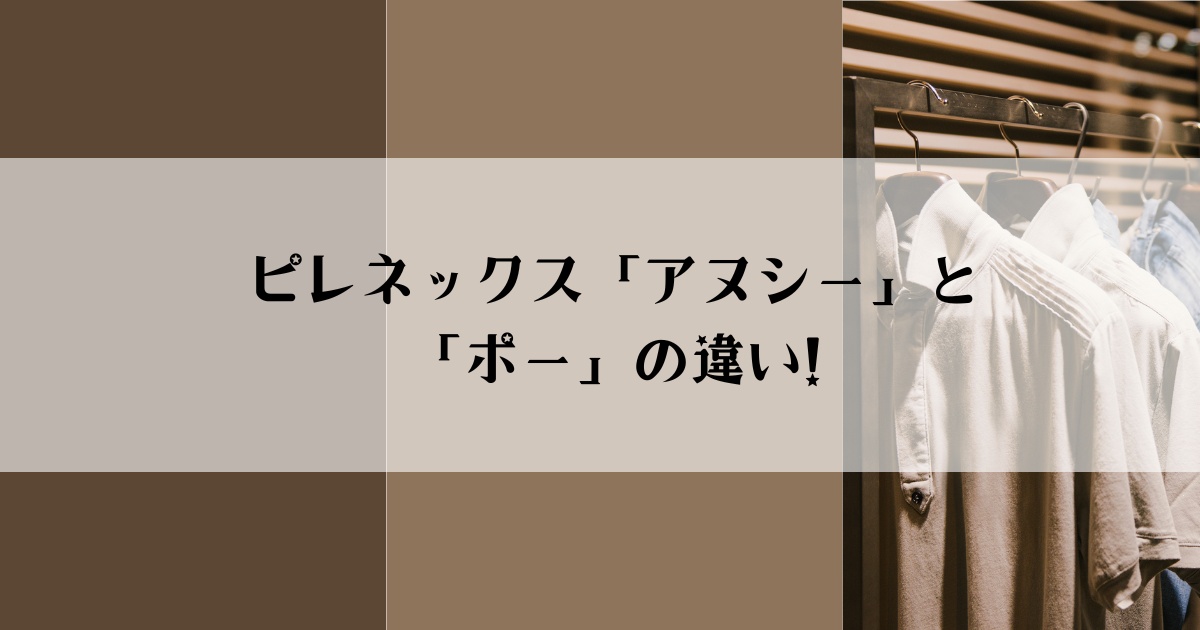 ピレネックス「アヌシー」と「ポー」の違い!